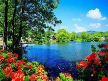 Load image into Gallery viewer, AZQSD DIY 50x40cm Paint By Numbers For Landscapes Home Decoration Oil Painting By Numbers Full Set For Adults